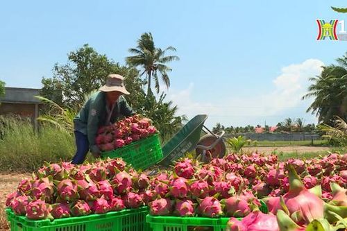 Xuất khẩu nông lâm thủy sản vượt mốc 53 tỷ USD