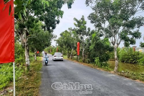 Tết này bà con sẽ vui hơn