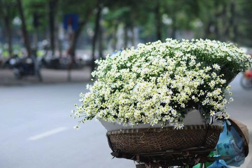 Hà Nội vào đông có gì thú vị?