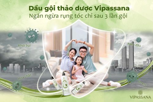 Dầu gội thảo dược Vipassana ngăn ngừa rụng tóc chỉ sau 3 lần gội