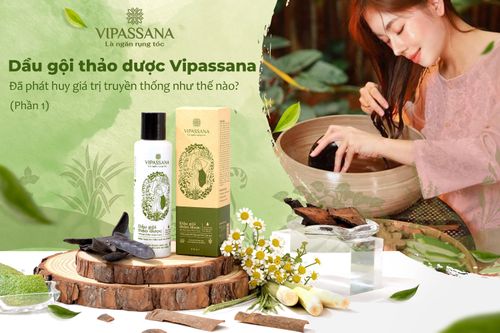 Dầu gội thảo dược Vipassana: Tiếp nối và phát triển giá trị truyền thống