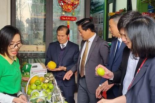 Hoài Đức: Ra mắt điểm trưng bày, quảng bá sản phẩm OCOP thứ 4