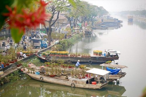 TP Hồ Chí Minh tổ chức Hội hoa Xuân Giáp Thìn và 6 chợ hoa Tết