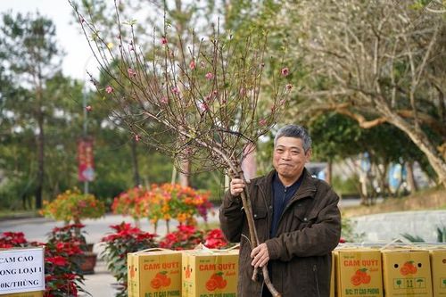 Hà Nội tổ chức 83 điểm chợ hoa Xuân phục vụ người dân mua sắm Tết