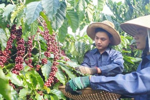 Đằng sau một con số phần trăm