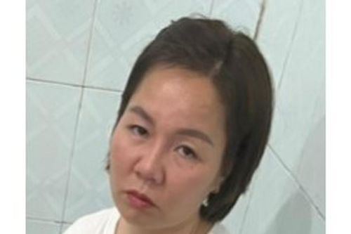 Lừa chạy sổ đỏ để chiếm đoạt hơn 7 tỷ đồng