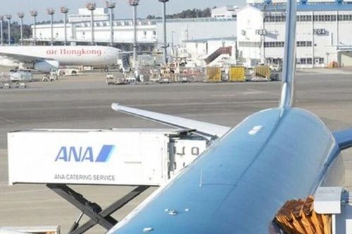 Máy bay Boeing 787 của Vietnam Airlines nứt kính tại Nhật đã quay trở về Việt Nam