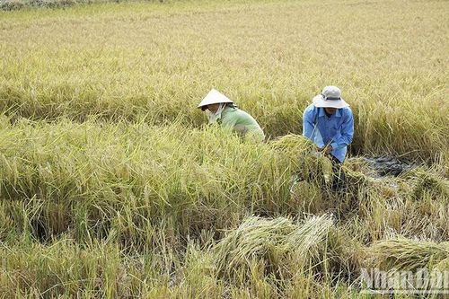 Sóc Trăng giảm khí phát thải nhà kính 170.722 tấn CO2