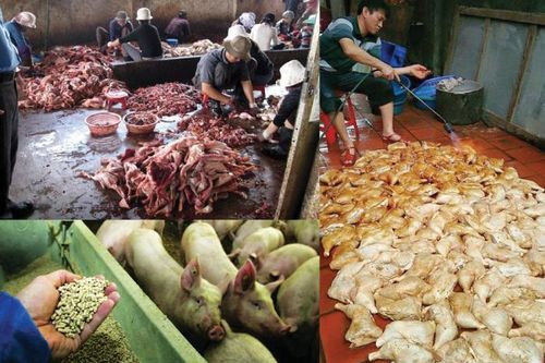 Cẩn trọng thực phẩm bẩn dịp Tết