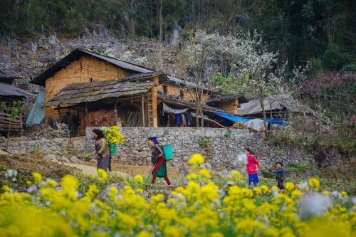 Phát triển du lịch cộng đồng cần có sự định hướng