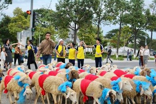 Độc lạ hàng trăm chú cừu xuống phố diễu hành đón năm mới 2024