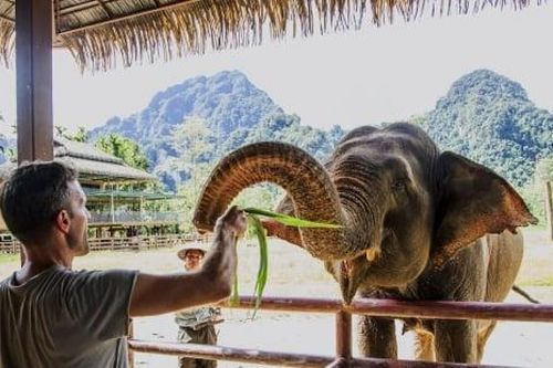 'Bí kíp' du lịch dịp Tết Nguyên đán