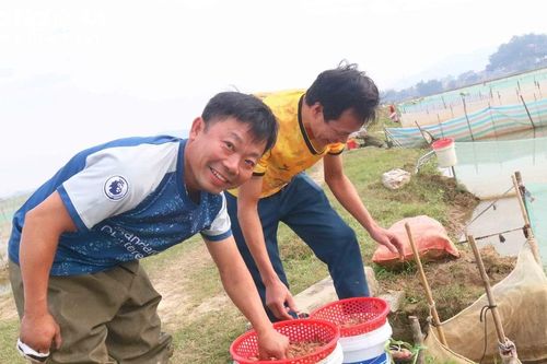 Nông dân phấn khởi vớt 'lộc trời' giữa ngày nắng ấm
