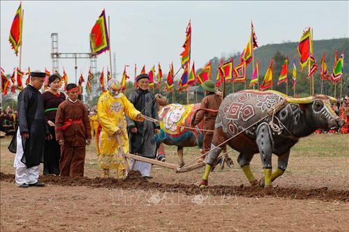 Bảo tồn Lễ hội Tịch điền - Đọi Sơn gắn với phát triển du lịch quốc gia