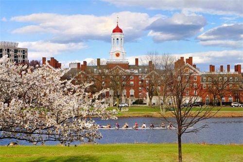 Tất tần tật những điều kiện nhận học bổng Harvard: Có khó khủng khiếp như chúng ta hình dung?