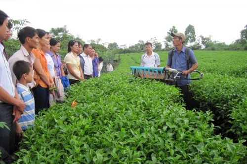 Tuyên Quang: Hỗ trợ đào tạo nghề cho lao động nông thôn