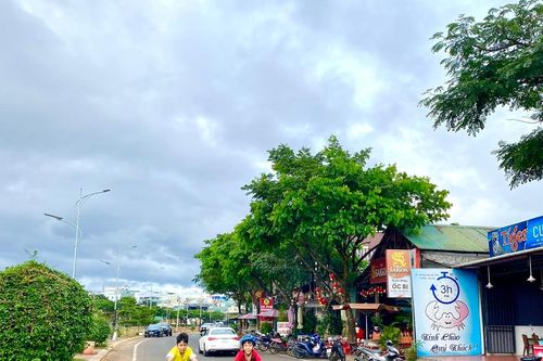 Khẩn trương triển khai kế hoạch phát triển kinh tế đêm trên địa bàn Pleiku