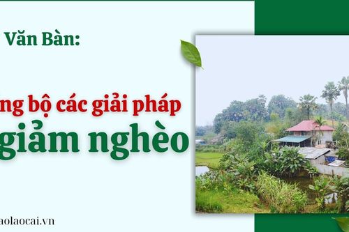 Đồng bộ các giải pháp trong công tác giảm nghèo