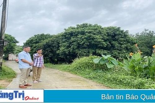 Cựu chiến binh nêu gương sáng giữa đời thường
