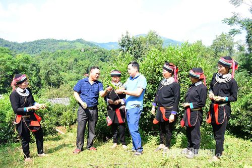 Thượng Nông nỗ lực giảm nghèo