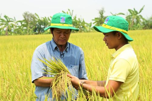 Sắp hết năm, Đạm Cà Mau (DCM) bất ngờ điều chỉnh loạt mục tiêu kinh doanh năm 2023