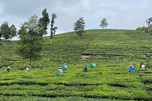 Huyện Mường Khương, tỉnh Lào Cai: Doanh nghiệp tích cực xây dựng nông thôn mới