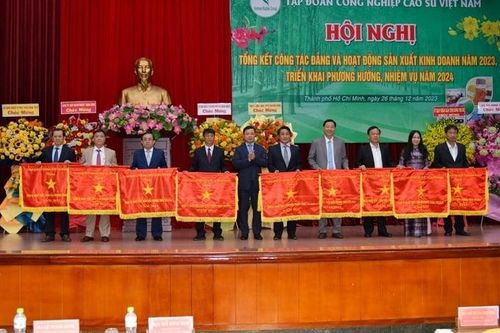 Năm 2023 doanh thu VRG đạt hơn 24 nghìn tỷ đồng