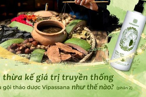 Dầu gội Vipassana đã kế thừa truyền thống thế nào? (Phần 2)