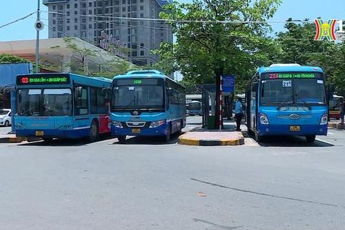 Vận hành 31.000 lượt xe buýt trong dịp Tết Dương lịch