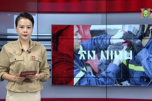 Bản tin 141 | 28/12/2023