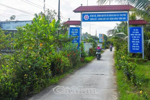 Tiếp tục phát huy tiềm năng, lợi thế theo hướng bền vững