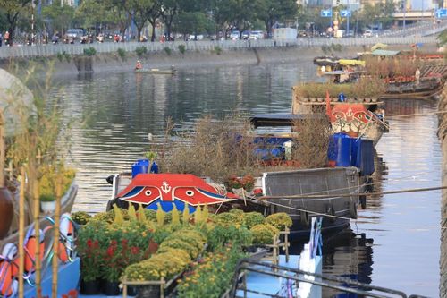 TP.HCM sẽ mua hoa Tết bị ế của tiểu thương để làm 'đường hoa nghĩa tình'
