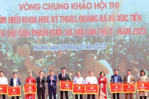 Hội thi tìm hiểu khoa học kỹ thuật, quảng bá, xúc tiến tiêu thụ sản phẩm bưởi Hà Nội lần thứ 2:Huyện Hoài Đức đạt giải Đặc biệt