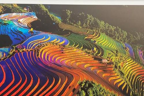 'Yên Bái - Nơi hội tụ sắc màu Tây Bắc' tại Phố sách Hà Nội