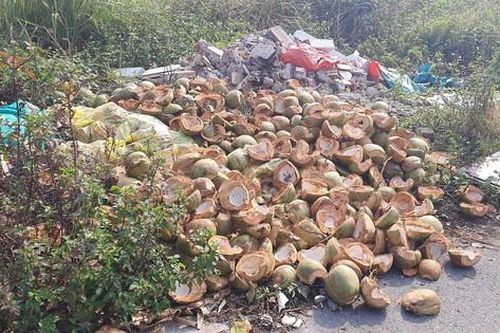 Rác thải tràn ngập khu 'đất vàng' ở một quận ngoại thành Hà Nội