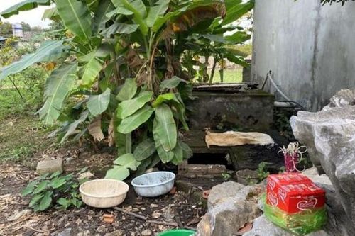 Nỗi ám ảnh của kẻ sát nhân sau 13 năm gây án
