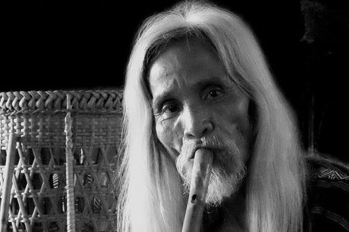 'Cội lim già' của rừng Trường Sơn