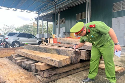 Cơ sở tàng trữ gỗ lậu