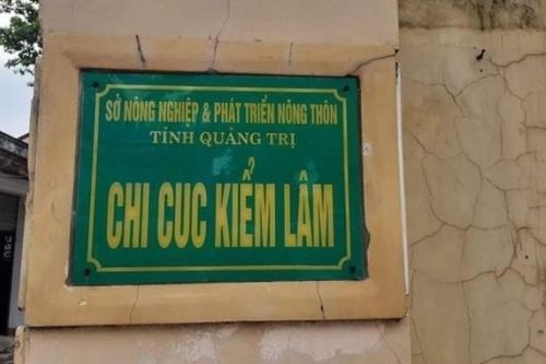 Nguyên Chi cục trưởng Kiểm lâm Quảng Trị bị khởi tố