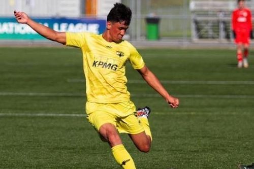 Thêm nhiều cầu thủ Việt kiều về V-League thi đấu?