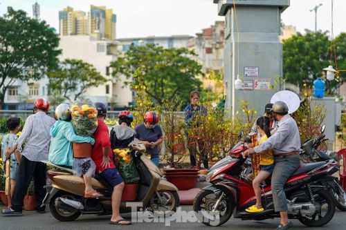 TPHCM sẽ mua lại hoa bị ế trong dịp Tết