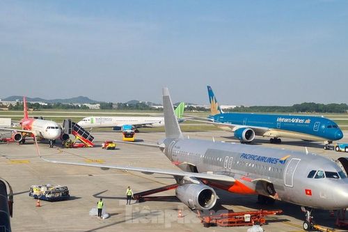 Vietnam Airlines muốn lấy thị phần, nhân sự từ Bamboo Airways