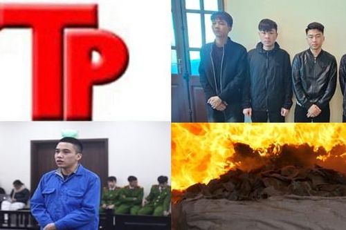 Bản tin Hình sự: Em trai đâm anh tử vong vì tranh chấp ranh đất