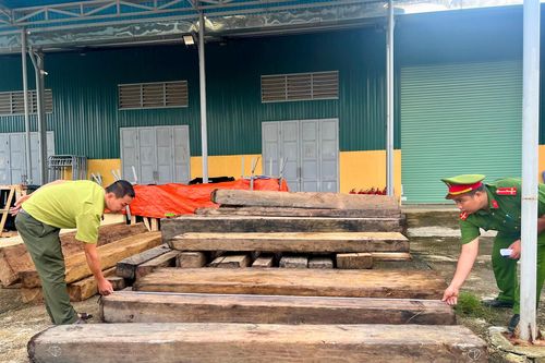 Phát hiện cơ sở tàng trữ nhiều phách gỗ có nguồn gốc không hợp pháp