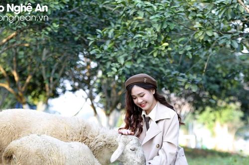 Các điểm đến ở Nghệ An sẵn sàng chào đón du khách dịp Tết Dương lịch