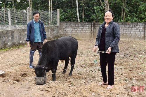 Hỗ trợ 'cần câu' giúp người dân Lộc Hà thoát nghèo