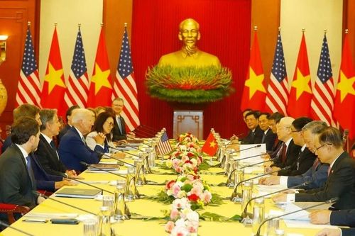 Việt Nam gặt hái thành công từ sức mạnh của trường phái 'Ngoại giao Cây tre'