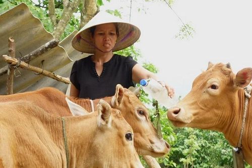Chủ tịch nước đồng ý sửa Hiệp định tài trợ dự án phát triển khu vực biên giới