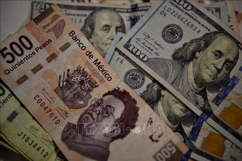 Dự trữ ngoại hối của Mexico cao kỷ lục kể từ năm 1995