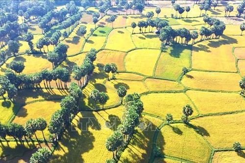 Xây những miền quê đáng sống